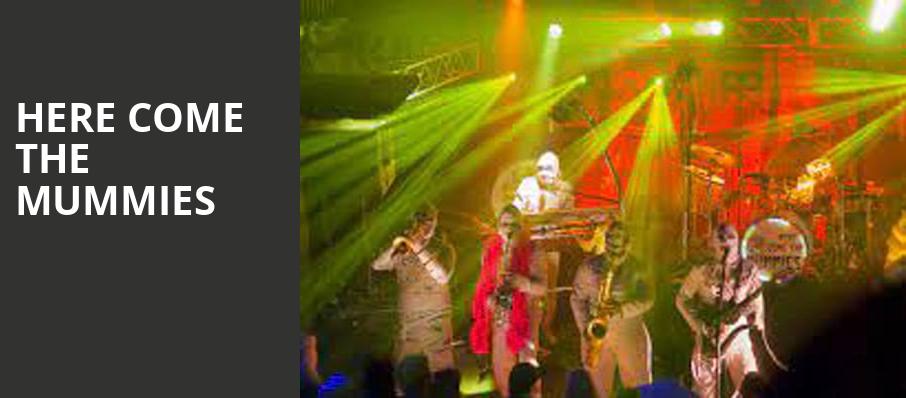 Here Come The Mummies, TempleLive, Fayetteville