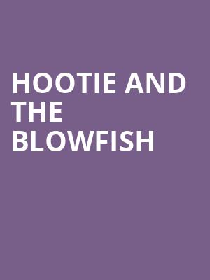 Hootie and the Blowfish, Walmart AMP, Fayetteville