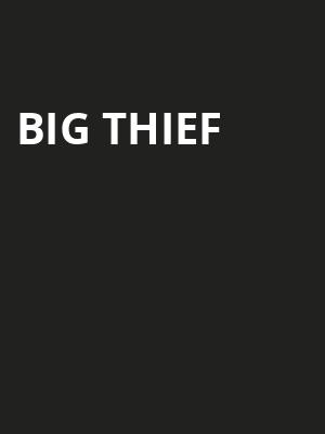 Big Thief Poster
