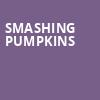 Smashing Pumpkins, Walmart AMP, Fayetteville